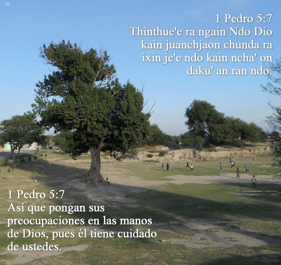 paginicio.2.2.jpg